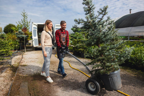 Best Aeration Services  in Mosinee, WI